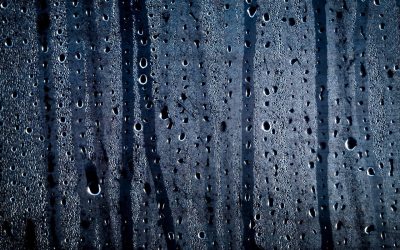 Guide On How To Stop Condensation In Your Home
